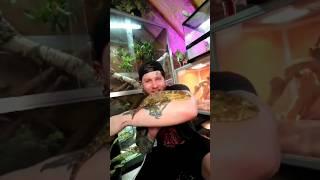 This Is What $5,000 Worth Of Geckos Looks Like