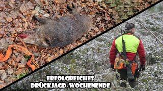 erfolgreiches Drückjagd Wochenende als Schütze und Treiber / RevierLeben // Vlog 69