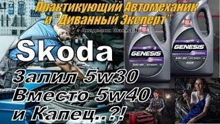 Skoda: Налил Масло 5w30 вместо 5w40 и Капец? Разбираемся (2024)