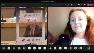 Extraordinary Planning Committee
