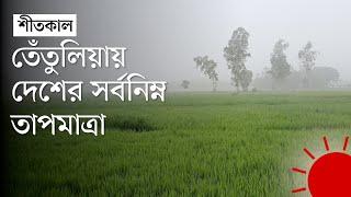 কুয়াশায় আচ্ছন্ন পঞ্চগড়, শীতের আগমনী বার্তা | Cold Weather News | Winter in Panchagarh | Prothom Alo