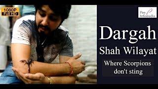 Documentary on Dargah Shah Wilayat - Where scorpions don't sting!