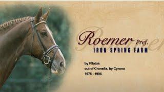 Iron Spring Farm's Roemer, Preferent