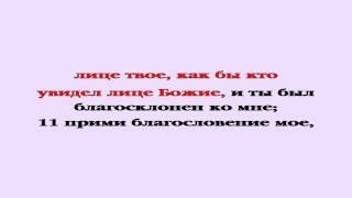 Видеобиблия. Бытие. Глава 33
