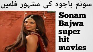 Sonam Bajwa super hit movies list best Indian Punjabi movies