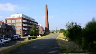 Langs de dijk in Terhagen richting Rumst