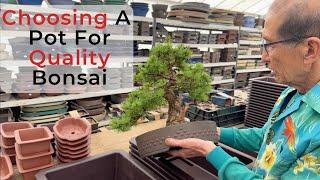 Choosing pots for quality bonsai