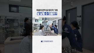 안락사 권유 받고 온 PLE환자 #고려동물메디컬센터  #ple  #2차동물병원