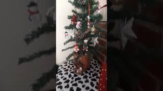 El árbol de navidad de mamá Chele .