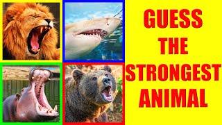 Which animals have the strongest BITE FORCE? | Animal Bite Force Comparison Quiz