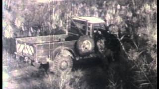 מסרטי נפתלי פרח בקיבוץ מעוז חיים  (1)