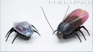 HeliPal.com - i-Cockroach and i-Bug Micro Robot