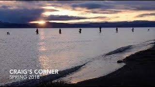 Craig's Corner Spring 2018