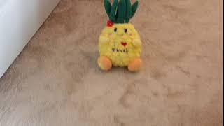 pineapple.jpg