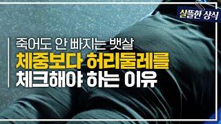 허리둘레 늘어나면, 사망률도 증가? 체중보다 뱃살이 중요한 이유｜다큐플러스｜JTBC 230521 방송