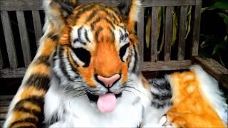 Realistic tiger fursuit : Tigris No.1