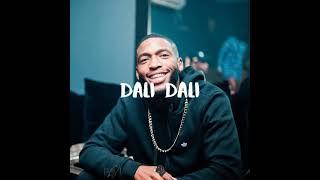 Daliwonga x Mellow & Sleazy Type Beat "Dali Dali" 2023 (Prod By Puppy Beats)