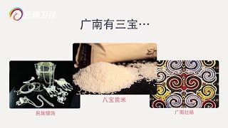 游云南之广南攻略：铜鼓之乡广南，被称作世外桃源，到这里必去六大景点【完美云南MG动画攻略】