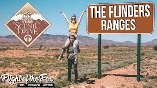 You must check out this SCENIC DRIVE!? | FLINDERS RANGES | Wilpena Pound |South Australia Roadtrip