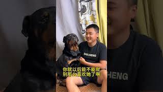 骗不了她了现在 #拉登与阿亮的日常生活