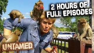 Dr Chris Brown Around The World  2 Hours of Travelling With The Bondi Vet