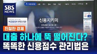 대출만 내도 신용점수 떨어진다고?…똑똑한 신용점수 관리법은 / SBS / 친절한 경제