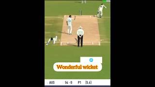 Wonderful Throw Sarfaraz Khan unbelievable wicket