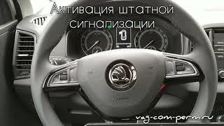 Скрытые функции Skoda KAROQ 2019-2021, активация в Перми