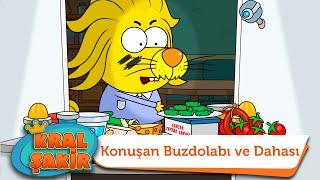 Konuşan Buzdolabı ve Dahası - Kral Şakir