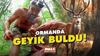 Ed Stafford Ormanda Geyik Buldu! | Ed Stafford ile Kurtuluş Öyküleri