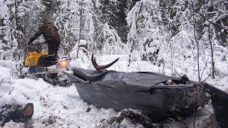 OFF-GRID LOG CABIN. HUNTER'S HUT. MOOSE HUNTING.