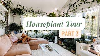 200+ Plant Tour - Part 3! The SUNROOM (99% of my plants)