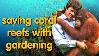 restoring land saves the coral reefs - Willie Smits is saving the world again