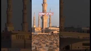 Jannat Ul Baqi | Graveyard Madina | Saudi Arabia @iramfatma786#shorts #islamic #shortsfeed #viral