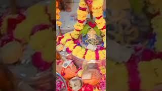 jai bhole #pipleshwar #bholabhakt #mahadev