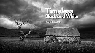 Timeless Black and White