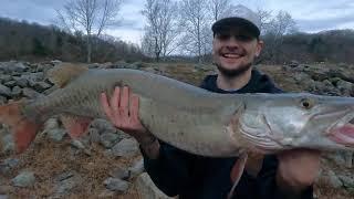 Using JERKBAITS for Spillway MUSKIES!!! (Nonstop BIG Fish!)