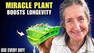 12 MIRACLE Houseplants That Can Help You LIVE LONGER! | Barbara O'Neill