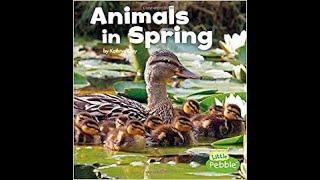 Animals in Spring
