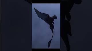 Night Fury