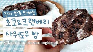 무반죽 초코 크랜베리 사워도우빵 | 섞으면 끝! 진짜 반죽 안해요 | 쉬운 사워도우 만들기 | 사워도우 | No knead Sourdough bread