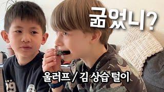 한국에서 온 인기남의 생일 vlog  l 우리집에 찾아온 김 상습 털이범 l  운명의 짝꿍 발견  l 스웨덴 브이로그