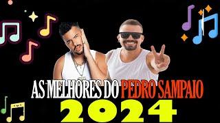 As Melhores dos PEDRO SAMPAIO - 2024