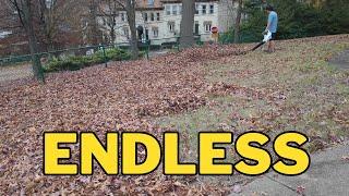 Endless Leaves Part II, I try out my new zero turn, Side quest 17