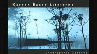 Carbon Based Lifeforms -MOS 6581