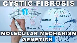 Cystic Fibrosis | Molecular Mechanism & Genetics