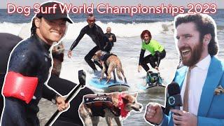 FIERCE Competition at the Dog Surfing World Championships 2023