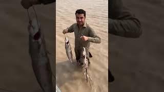 Fishing indus river