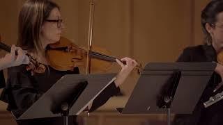 Seattle Chamber Orchestra - Concert #3 - Minimal Baroque