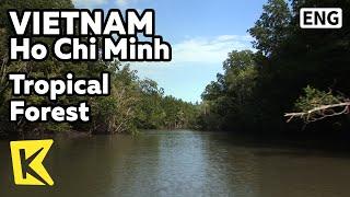 【K】Vietnam Travel-Ho Chi Minh[베트남 여행-호치민]베트남 전쟁 지역, 열대 숲/Mangrove Forest/Tropical Forest/War/Boat